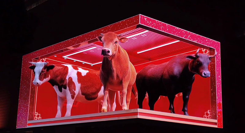 江苏信阳美罗百货户表裸眼3D屏项目